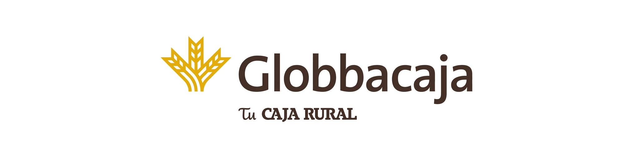 Entidad financiera 5